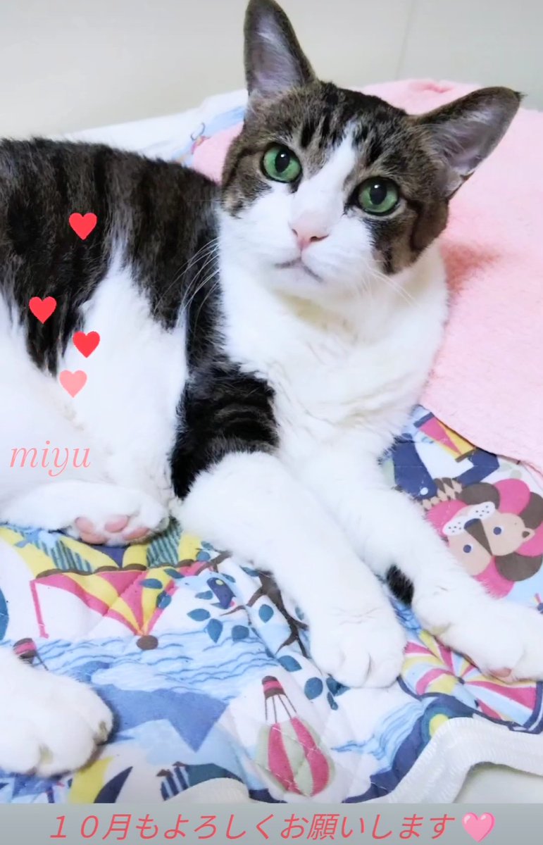 miyu♡8728 (@miyu8728414) / Posts / X