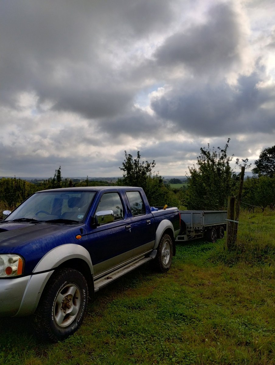 Bit ominous for a day's apple picking...