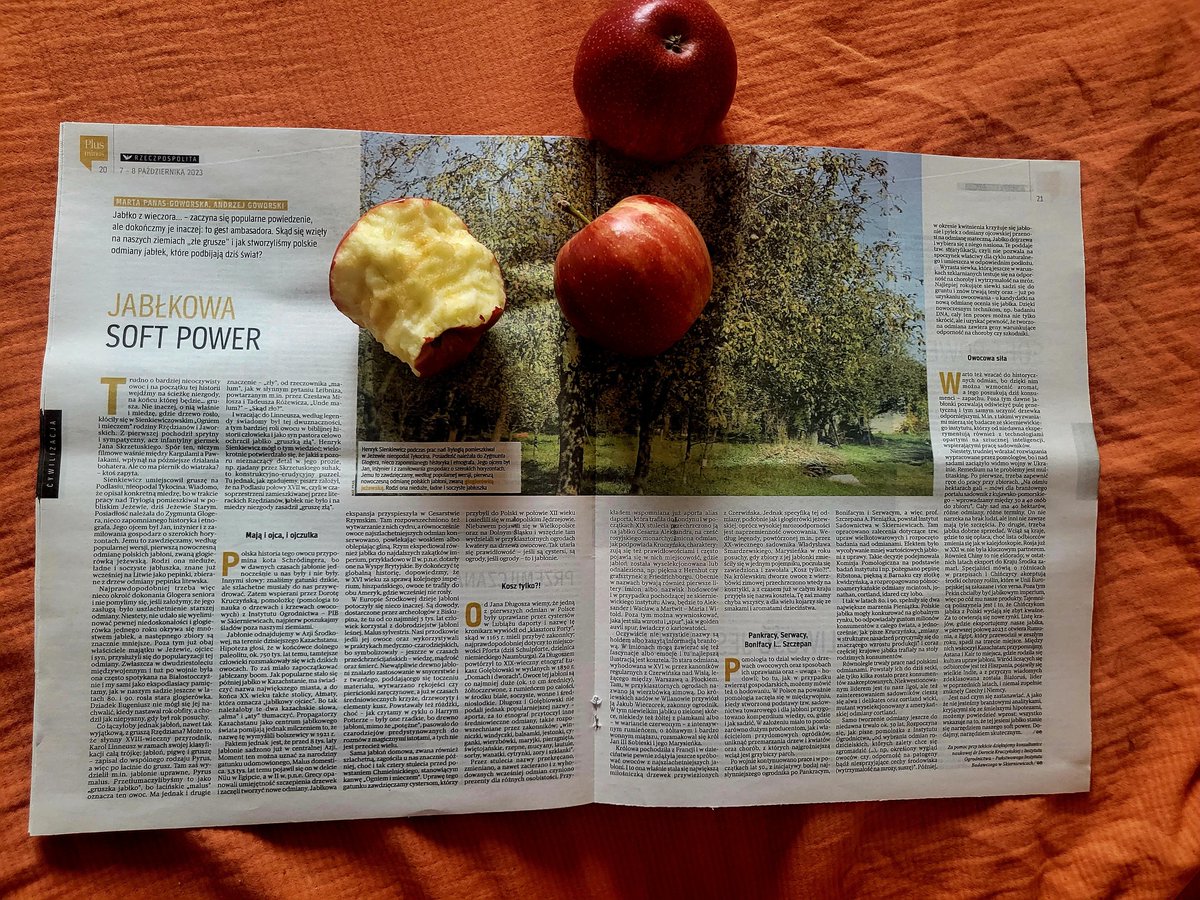 MAGoworscy's tweet image. „Jabłko z wieczora…” zaczyna się popularne powiedzenie, ale dokończmy je – „…to gest ambasadora”.
O losach naszych 🍎 w @Rzeczpospolita #PlusMinus.

#jabłka #owoce #gruszki #jabłonie #owoce #sady #pomologia #Pieniążek #Sienkiewicz #kosztele #lobo #Polska #MAGowie