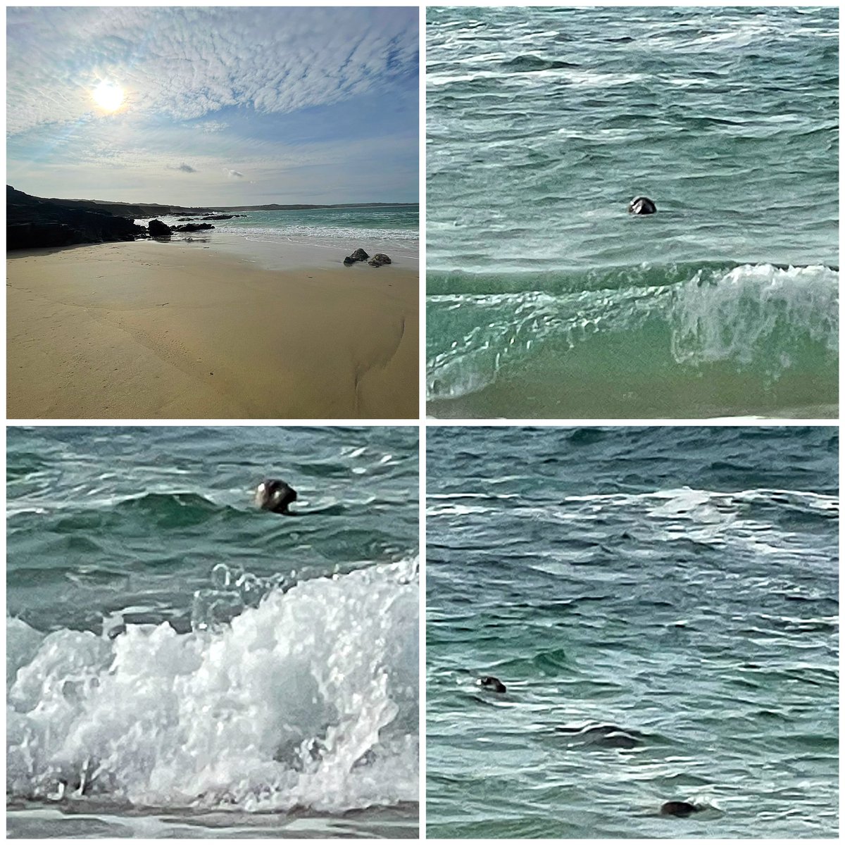 Hayley8755's tweet photo. After a diagnosis of #induciblelaryngealobstruction on-top severe #asthma I took breathing therapy on the road to try &amp;get back to #trailrunning first 5.5k in a while on Tues &amp;lots of sea swims&amp;walks while off work.I Miss running. #smallsteps #nature @runningpunks @UKRunChat https://t.co/pTGTOB9jo6