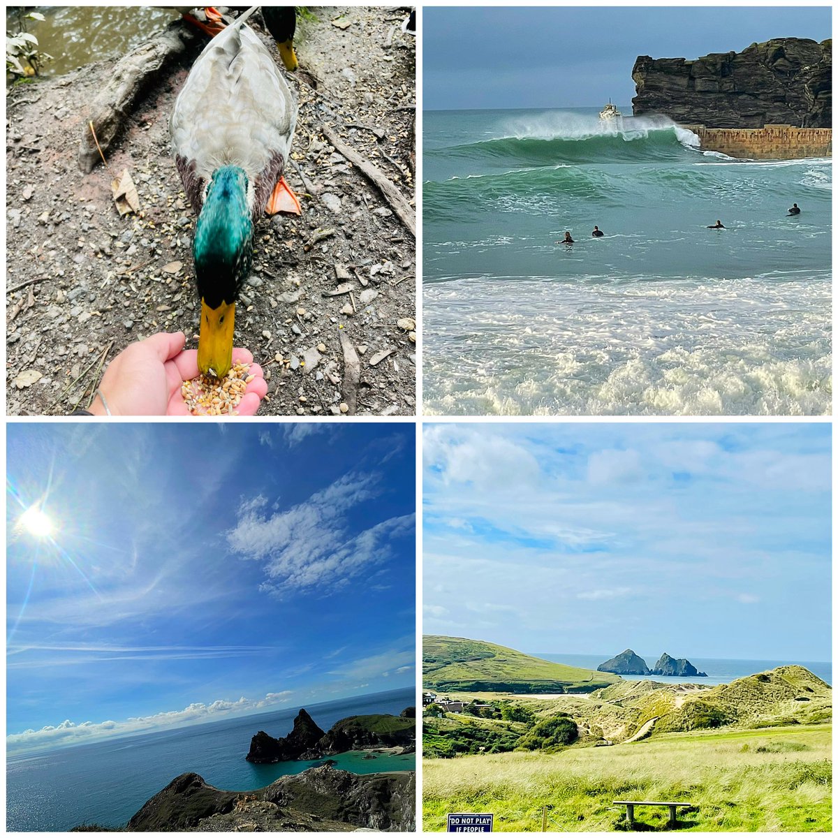 Hayley8755's tweet photo. After a diagnosis of #induciblelaryngealobstruction on-top severe #asthma I took breathing therapy on the road to try &amp;get back to #trailrunning first 5.5k in a while on Tues &amp;lots of sea swims&amp;walks while off work.I Miss running. #smallsteps #nature @runningpunks @UKRunChat https://t.co/pTGTOB9jo6