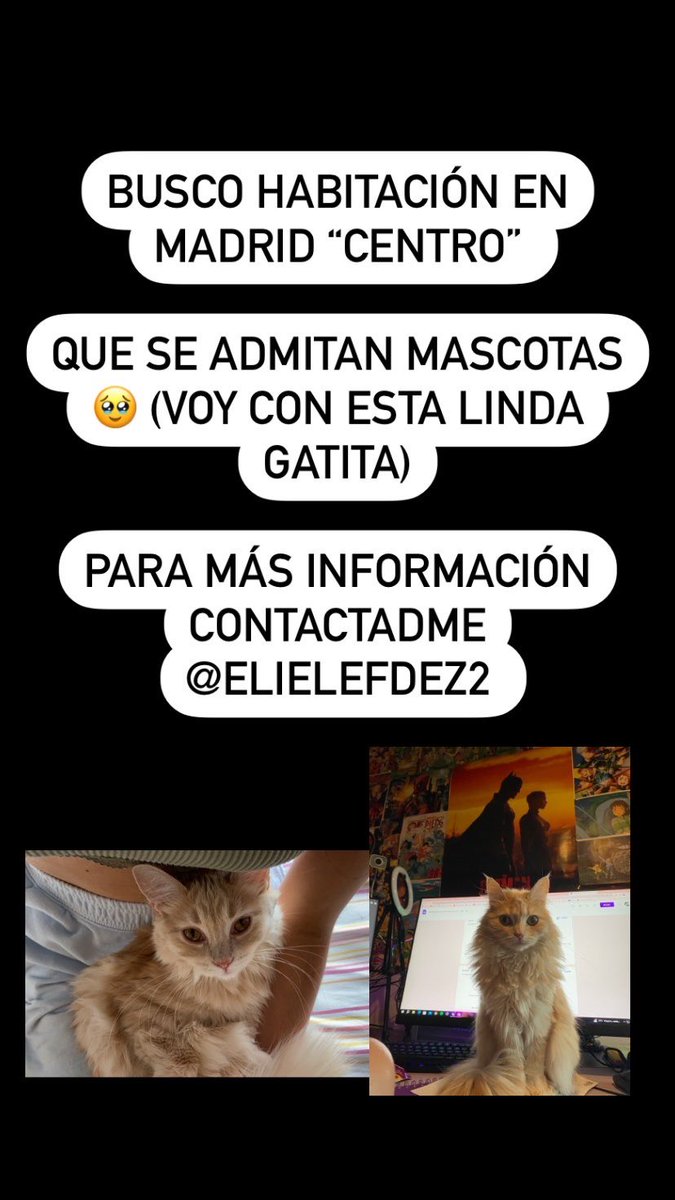 elielefdez's tweet photo. Guapuritas, estoy buscando habitación un poco más cerca de mi trabajo aquí en Madrid 🥹 agradecería difusión si es posible ✨. Para más información, habladme al privado 💕 gracias de corazón 💞💞💞💞 https://t.co/Km1OgkeLsC