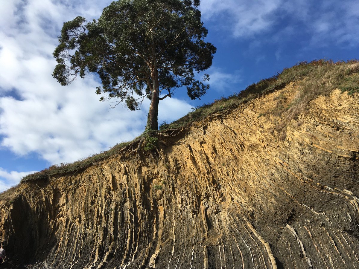 batidivulga's tweet photo. Carboniferous turbidites in San Pedro de Antromero (Asturias, Spain)

#GeodiversityDay #Geodiversitat #Geodiversidad https://t.co/l9wD1sTygl