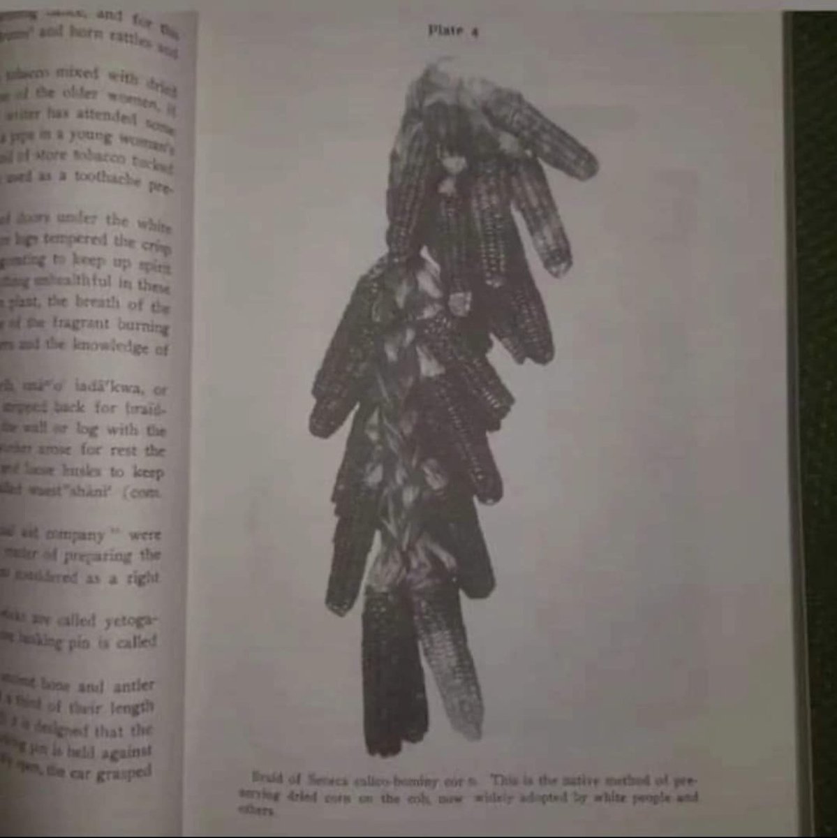Haudenosaunee_K's tweet photo. #ParkerOnTheIroquois #IroquoisUsesOfMaizeAndOtherFoodPlants #TheCodeOfHandsomeLake #TheConstitutionOfTheFiveNations by #ArthurCParker and edited by #WilliamNFenton
#ᏣᎳᎩᎢᏂᎧᏂᎯ #ᏗᏓᏟᎶᏍᏗᏍᎩ📷 #Didatlilosdisgi📷#Tsalagi #Elati #Kituhwa #Atali #Haudenosaunee🏹 #ᏎᎷ🌾 https://t.co/Lj31mOUJvN