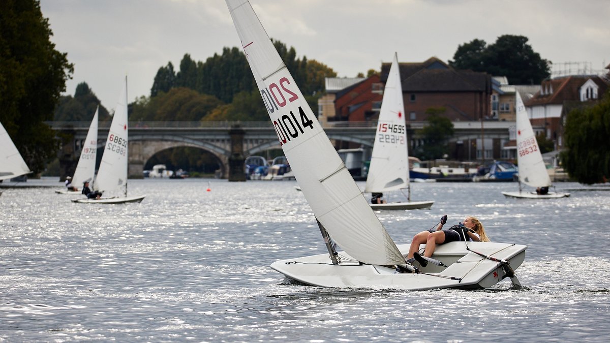 Tamesis Club tweet media