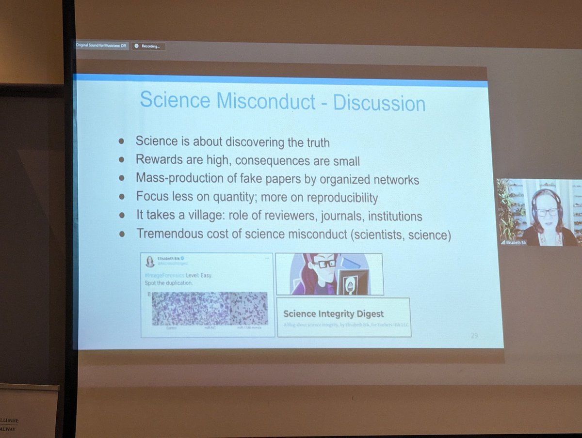CCguerilla's tweet image. Some remarkable parallels between the type of scientific misconduct @MicrobiomDigest and @SmutClyde find, and the #contractcheating that @YetAnotherShaun and I investigate.