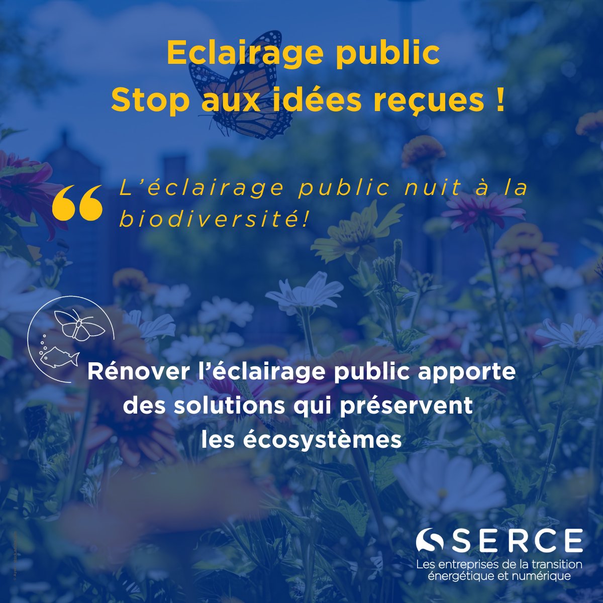 🧶1/3 

𝗘𝗰𝗹𝗮𝗶𝗿𝗮𝗴𝗲 𝗽𝘂𝗯𝗹𝗶𝗰 : ✋ aux idées reçues !
 
❌« 𝘓’é𝘤𝘭𝘢𝘪𝘳𝘢𝘨𝘦 𝘱𝘶𝘣𝘭𝘪𝘤 𝘯𝘶𝘪𝘵 à 𝘭𝘢 𝘣𝘪𝘰𝘥𝘪𝘷𝘦𝘳𝘴𝘪𝘵é ! »
 
✔ Un diagnostic environnemental préalable à la rénovation permet d’identifier la sensibilité des milieux à l’éclairage....