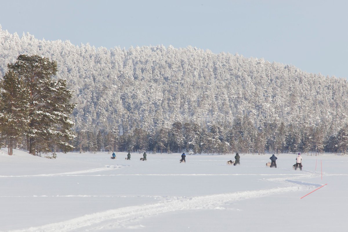 tours_aurora's tweet photo. We can't wait for you to get here and have an awesome Lapland experience with us.

There is still some availability this winter if you want to come play in the snow with us. https://t.co/luUMRxEFM7

Tony
https://t.co/luUMRxEFM7
https://t.co/mAcjzuVhqk https://t.co/G2Y29NcmKd