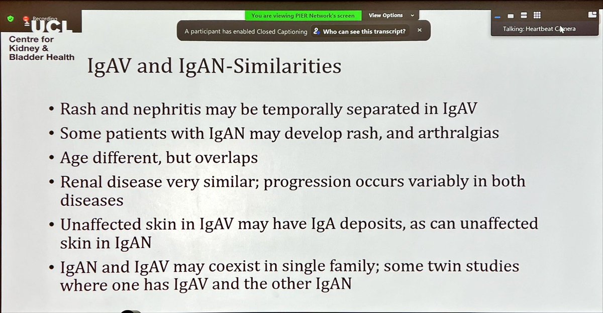 Prof Alan Salama from Royal Free outlines the similarities with #IgAV and #IgAN two sides of the same coin #moupt23 @BAPNnephrology