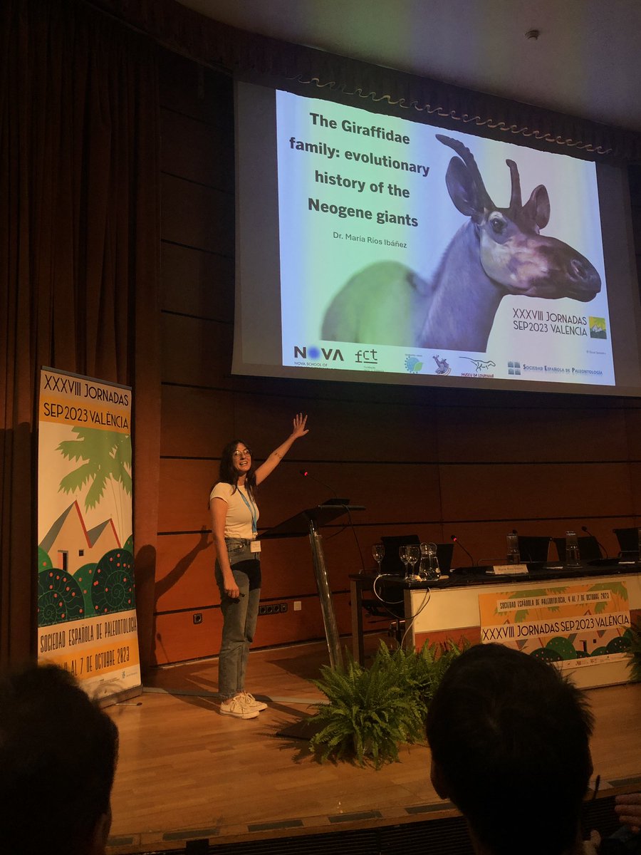 Es la hora de la conferencia sobre la Familia Girafidae y su historia evolutiva a cargo de la Dra. María Ríos 
#SEP23 #SEP2023 #SEPValencia