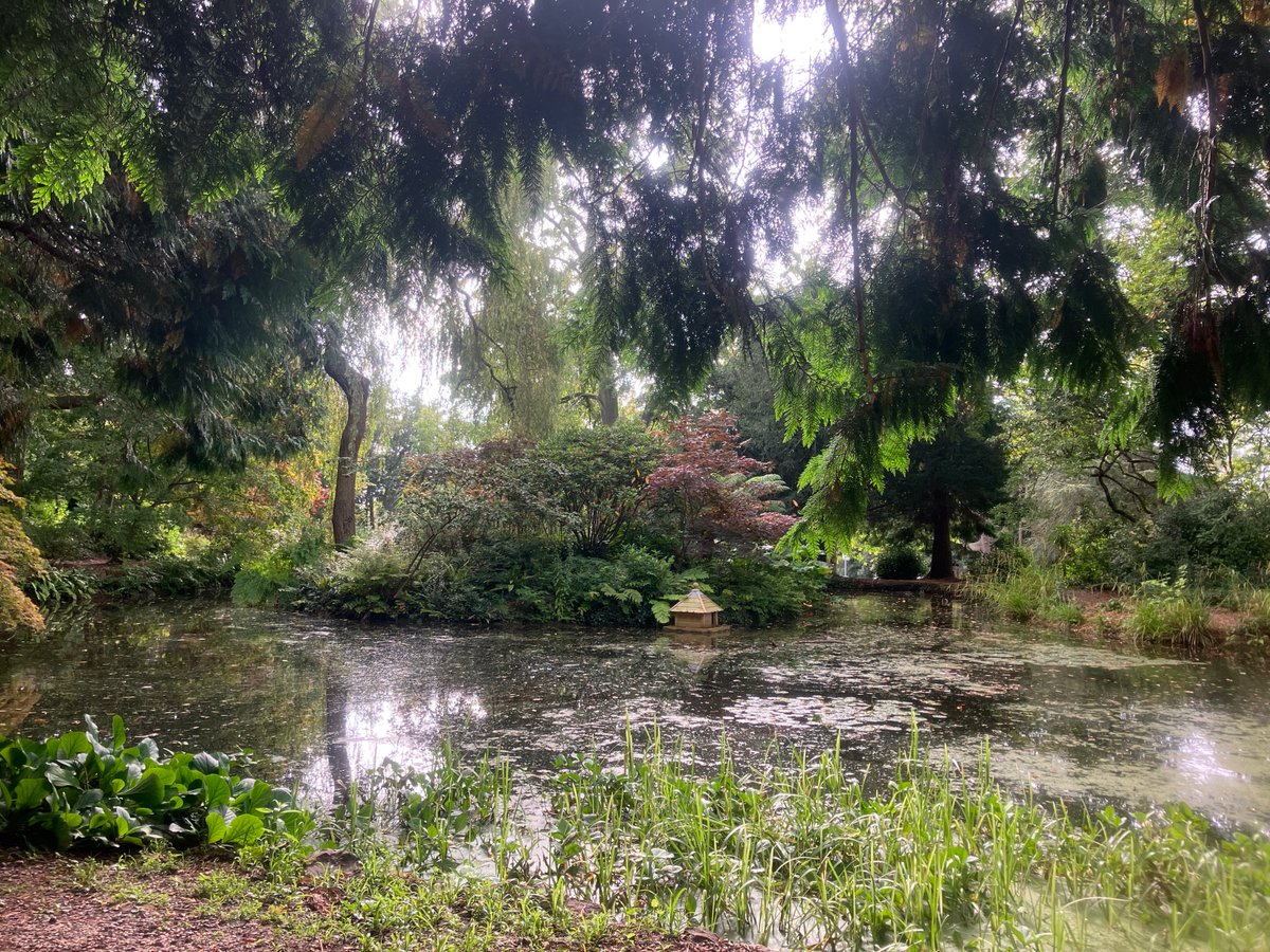 Anthony King tweet media