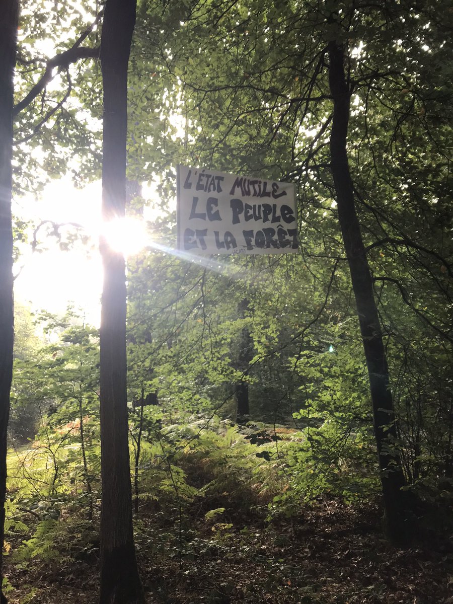 <a href="/CBeaune/">Clément Beaune</a> Les élus, le peuple et les associations ne veulent pas du pseudo contournement Est de Rouen <a href="/Nonalautoroute/">NonàlautorouteA133-A134</a> A133-A134
Ni <a href="/Rouen/">Ville de Rouen</a> ni <a href="/MetropoleRouenN/">Métropole Rouen Normandie</a> ni <a href="/AggloSeineEure/">Agglo Seine-Eure</a> ni <a href="/EureenNormandie/">Département de l’Eure</a> . l’ <a href="/ONF_Officiel/">Office national des forêts</a> fait face à la souffrance des forêts dû au #rechauffementclimatique