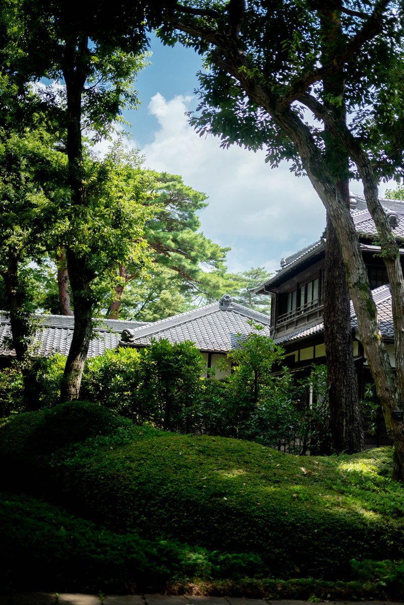 夏が過ぎ去った