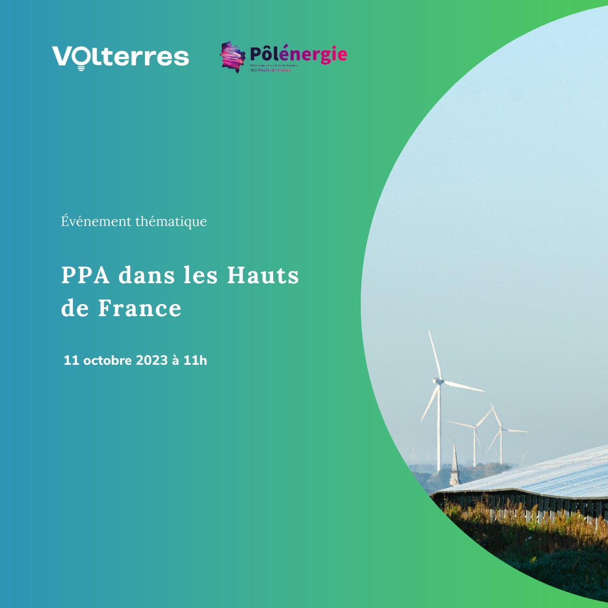 Volterres tweet media