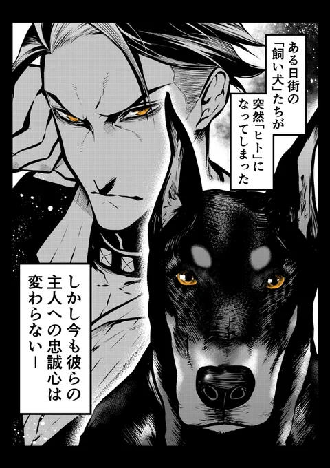 犬がヒトになる話<ドーベルマン> #漫画がよめるハッシュタグ #ポン太がヒトになりまして