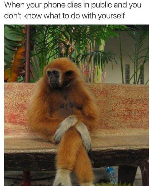 HeatherWeidner1's tweet photo. Yes, this is true. #phonedied #whattodo https://t.co/Pbaw7W8GEM