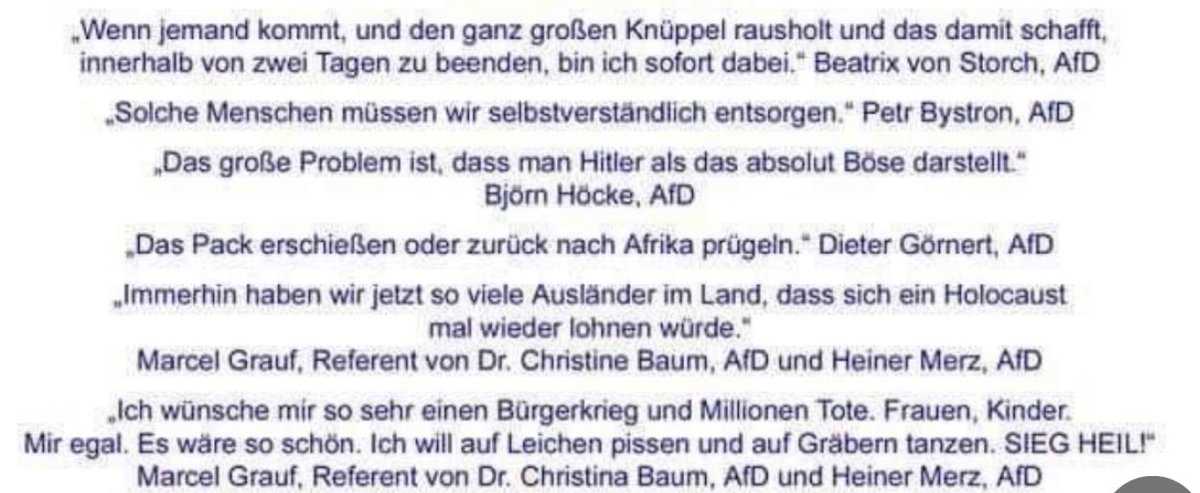 ntifaa's tweet photo. @AncomWeirdo @Tommy_Voi @AfD_MainzBingen Und dann noch diese Aussagen: https://t.co/yNNrhXL5s8