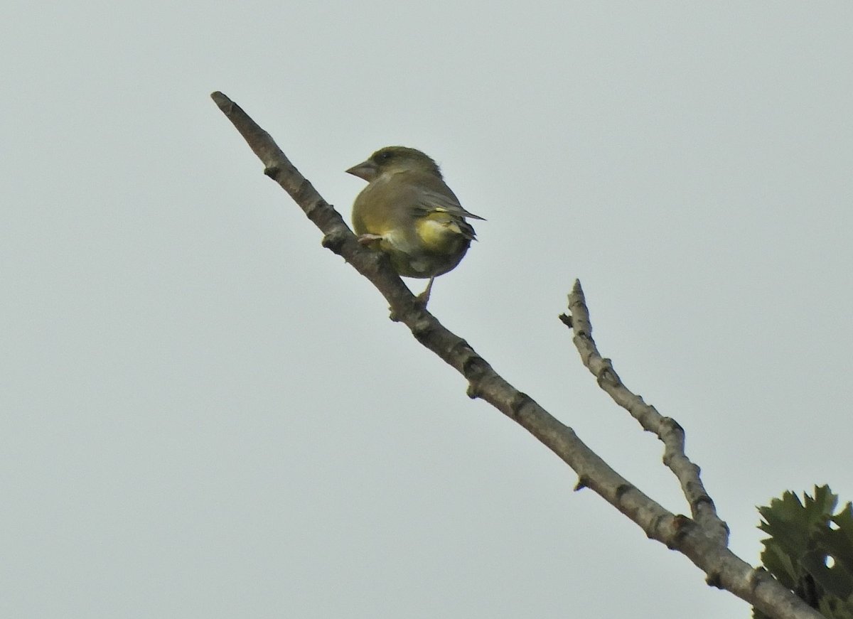 Phil Bull tweet media