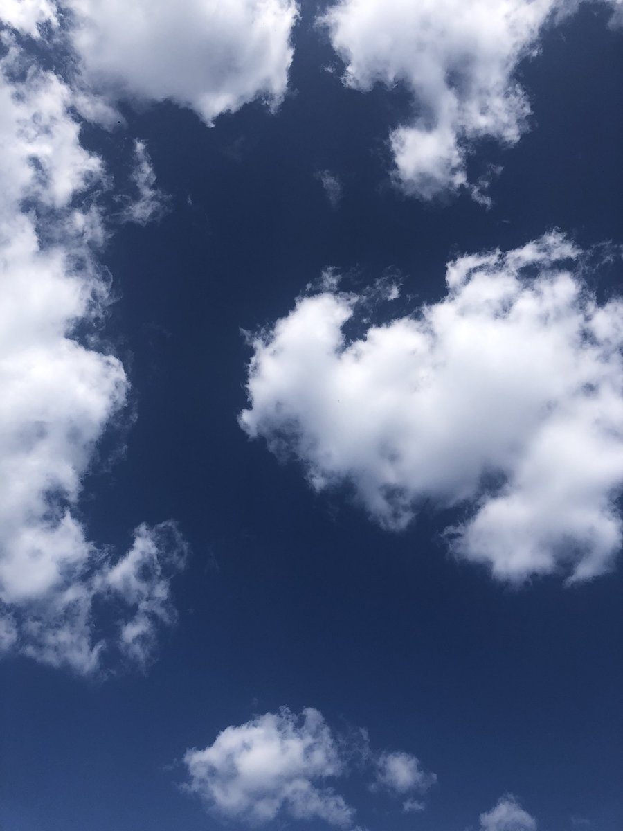 nao_Akashic's tweet photo. 本日の空間実験☆
自主レーンへエーテル移動
→惑星ルートを能動的に使用
自主レーンで両足で着地する
→意図・やる気・声で現実化可能
声が変化する。
#恒星占星術
#fonsence https://t.co/P0XnKviWt0