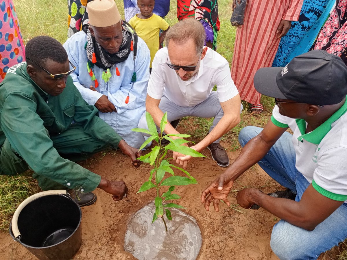 FAOSenegal's tweet photo. 📍Louga|1️⃣ -5⃣ Octobre
Le projet #RIPOSTE a accompagné la visite de l'@UEauSenegal à Koyli Alpha
✅Pour suivre la campagne de reboisement🪴
✅Les travaux de clôture des parcelles dans la zone sylvopastorale 🌱
✅Soutenir le dvlpt de l’écotourisme 🐢
#EUGreenDeal #PSEVert https://t.co/97cOMaHIHr