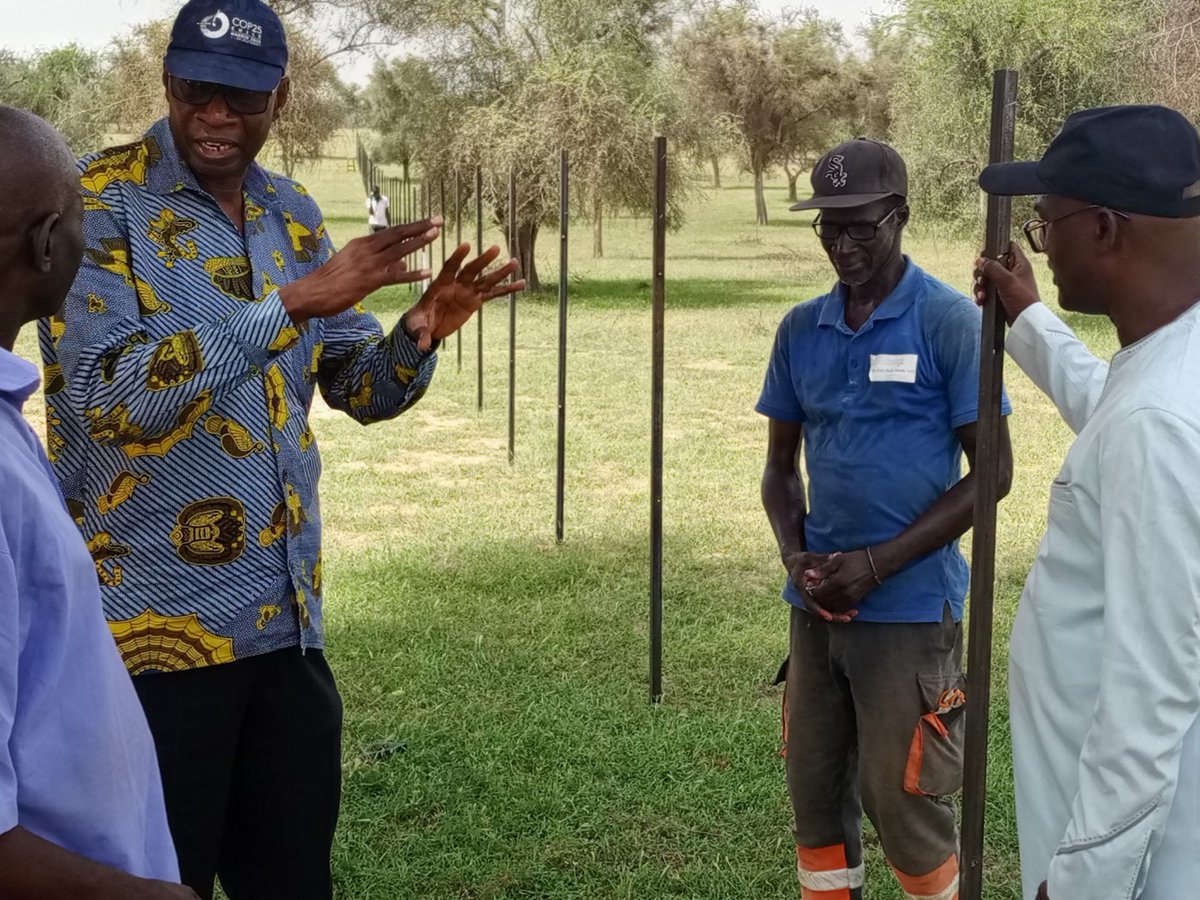 FAOSenegal's tweet photo. 📍Louga|1️⃣ -5⃣ Octobre
Le projet #RIPOSTE a accompagné la visite de l'@UEauSenegal à Koyli Alpha
✅Pour suivre la campagne de reboisement🪴
✅Les travaux de clôture des parcelles dans la zone sylvopastorale 🌱
✅Soutenir le dvlpt de l’écotourisme 🐢
#EUGreenDeal #PSEVert https://t.co/97cOMaHIHr