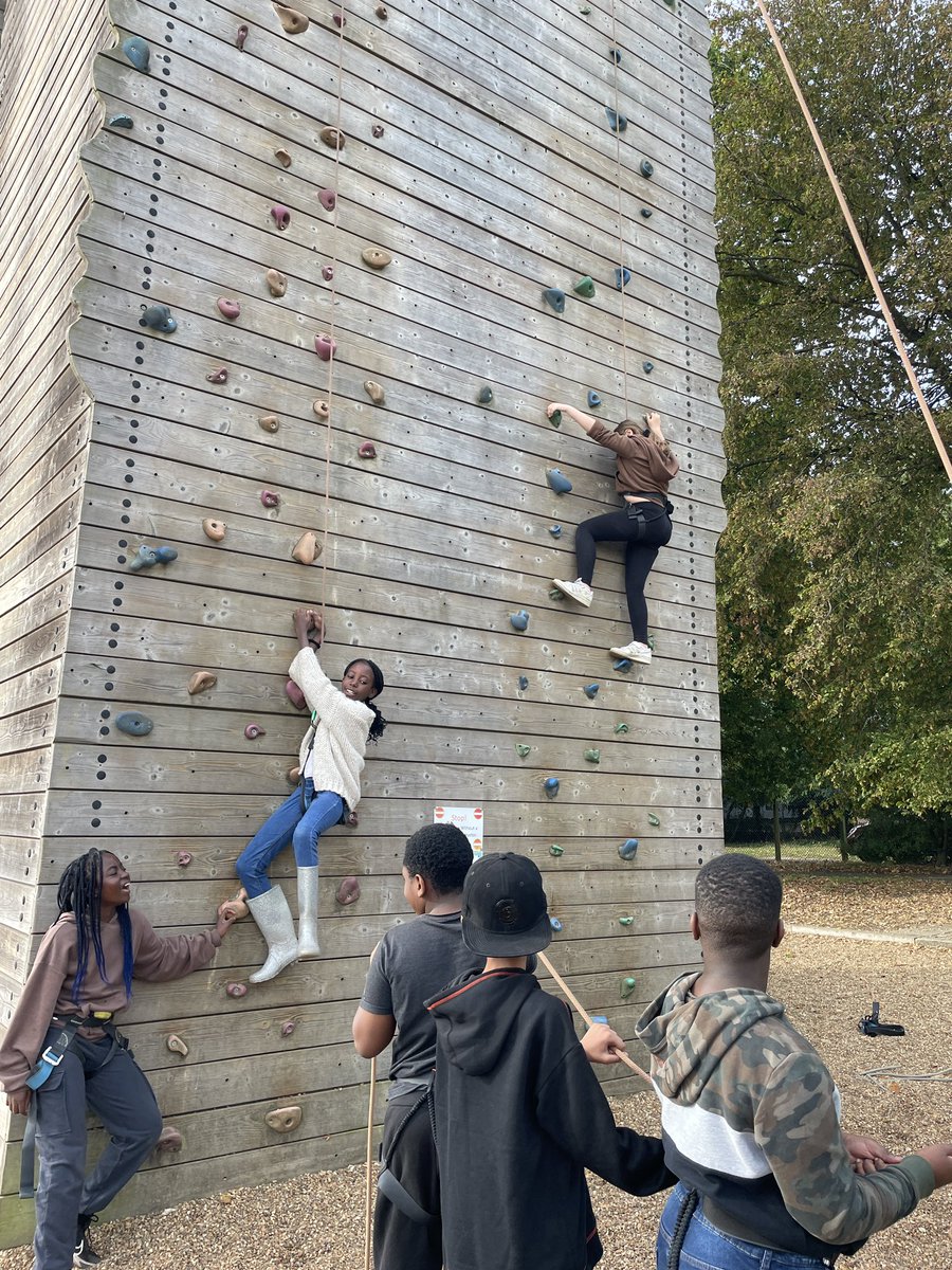 Drew Primary tweet media