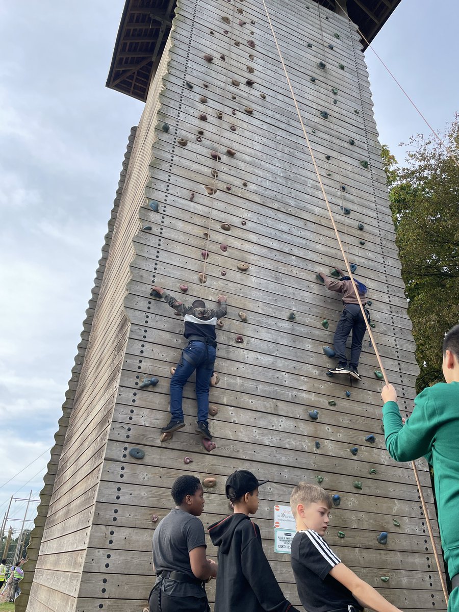 Drew Primary tweet media