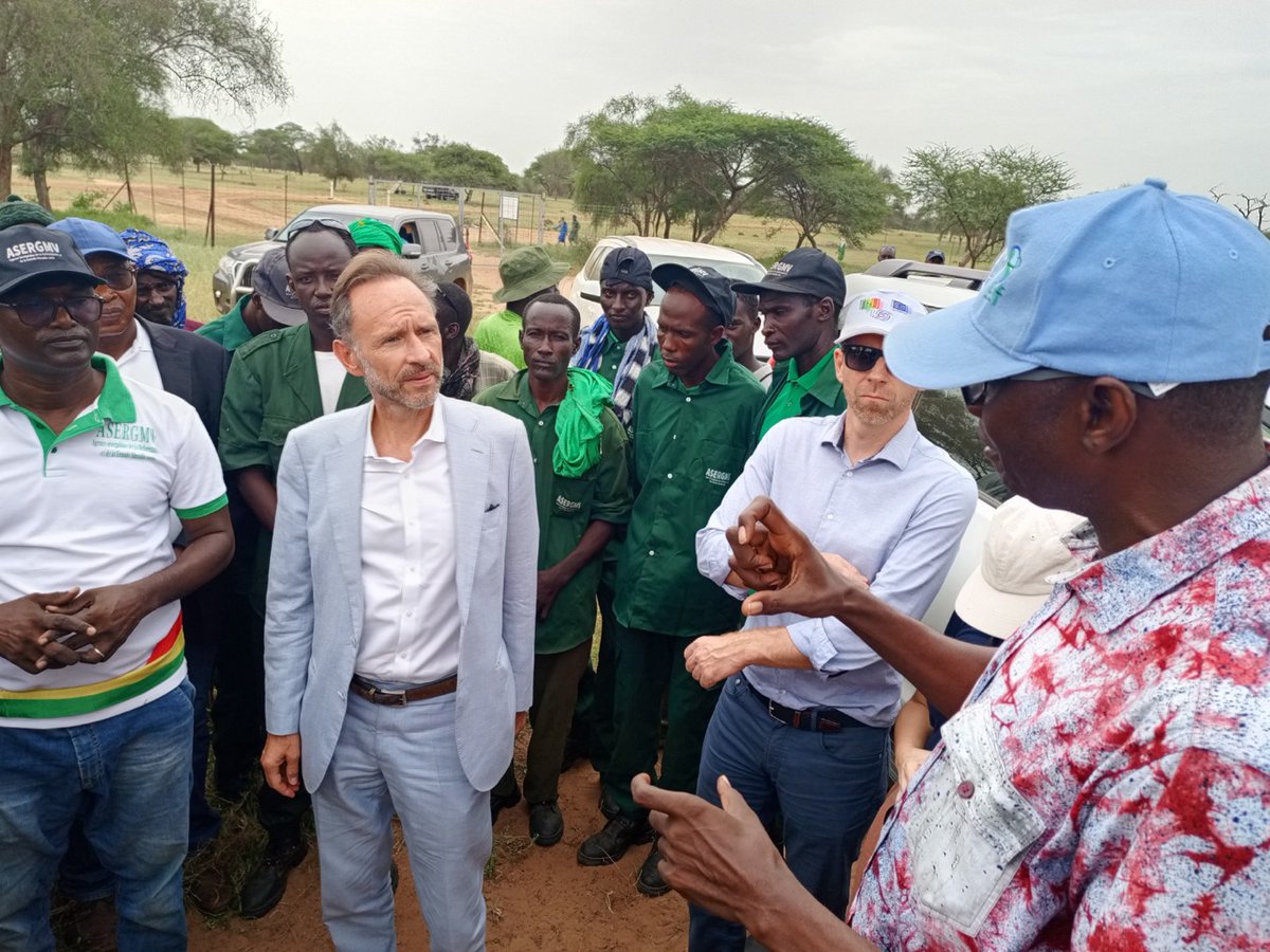 FAOSenegal's tweet photo. 📍Louga|1️⃣ -5⃣ Octobre
Le projet #RIPOSTE a accompagné la visite de l'@UEauSenegal à Koyli Alpha
✅Pour suivre la campagne de reboisement🪴
✅Les travaux de clôture des parcelles dans la zone sylvopastorale 🌱
✅Soutenir le dvlpt de l’écotourisme 🐢
#EUGreenDeal #PSEVert https://t.co/97cOMaHIHr