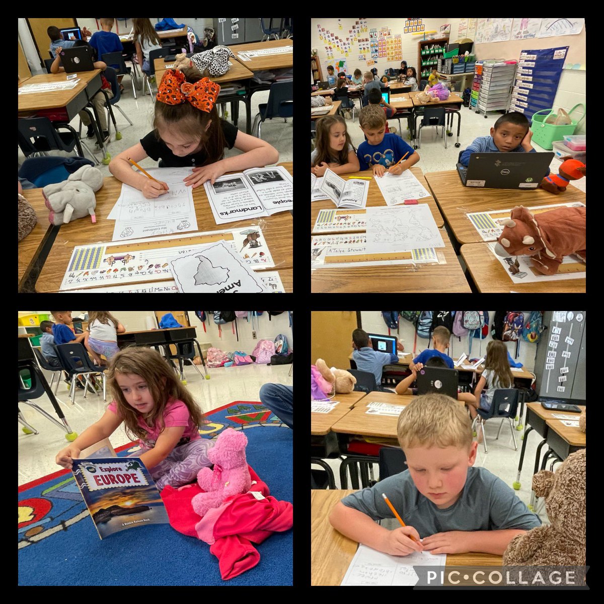 Megan Little Ed. S. -1st grade Husky tweet media