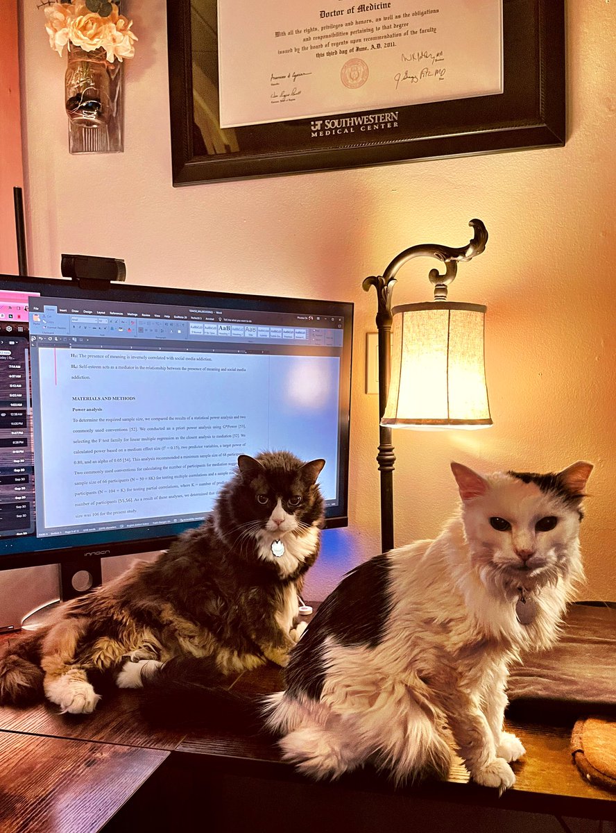 Happy Friday, #5amwritersclub! I actually made it today! 😃

Here are my desk companions wishing you all the most beautiful weekend! 💜

#WritingCommunity #cats #writerslife