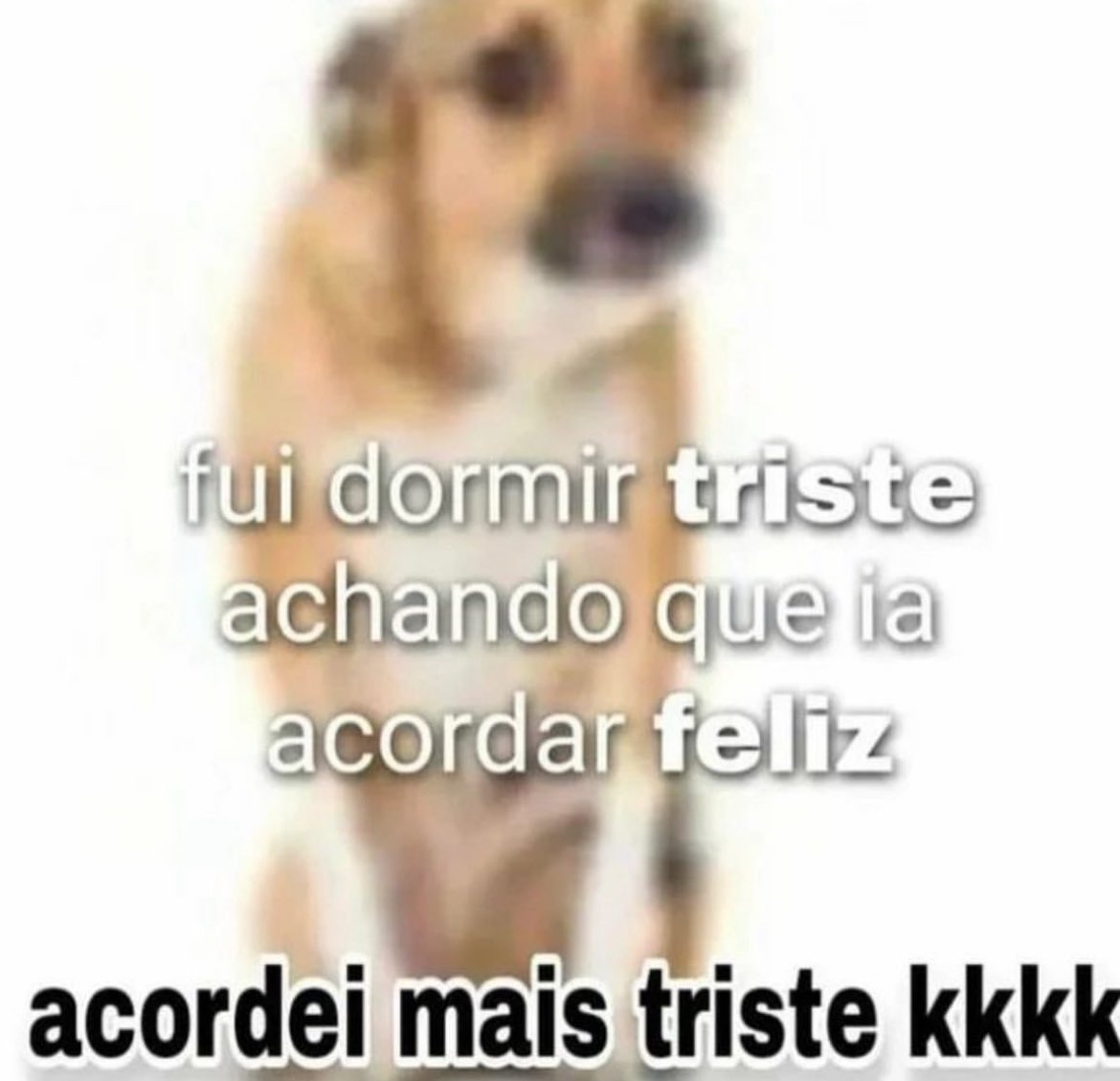 peusaantos's tweet photo. bom dia https://t.co/YDalVY8hso