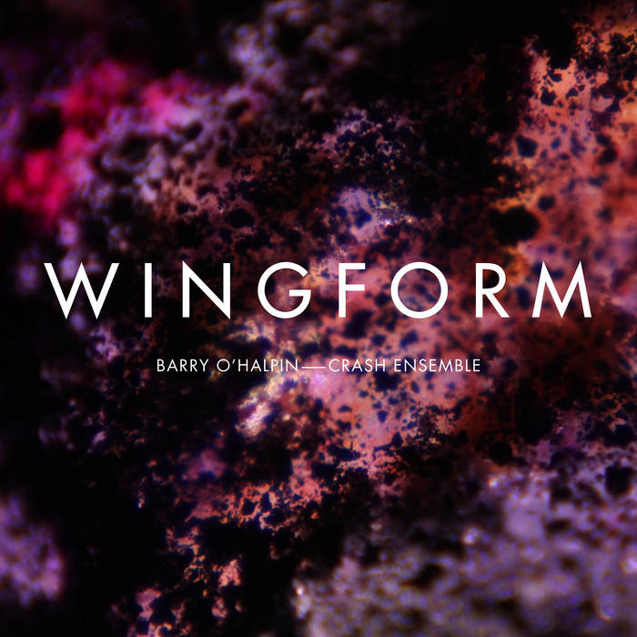 CRASH ENSEMBLE (@crashensemble) on Twitter photo 🎧Today is BandCamp Friday!
Check out <a href="/barryohalpin/">Barry O'Halpin</a> ’s Wingform, commissioned and performed by Crash Ensemble with conductor <a href="/ryanmcadams_/">Ryan McAdams</a> and featuring Barry himself on solo guitar:
crashensemble.bandcamp.com/album/wingform
What do you think about it?
Supported by @artscouncilireland 🎧Today is BandCamp Friday!
Check out <a href="/barryohalpin/">Barry O'Halpin</a> ’s Wingform, commissioned and performed by Crash Ensemble with conductor <a href="/ryanmcadams_/">Ryan McAdams</a> and featuring Barry himself on solo guitar:
crashensemble.bandcamp.com/album/wingform
What do you think about it?
Supported by @artscouncilireland