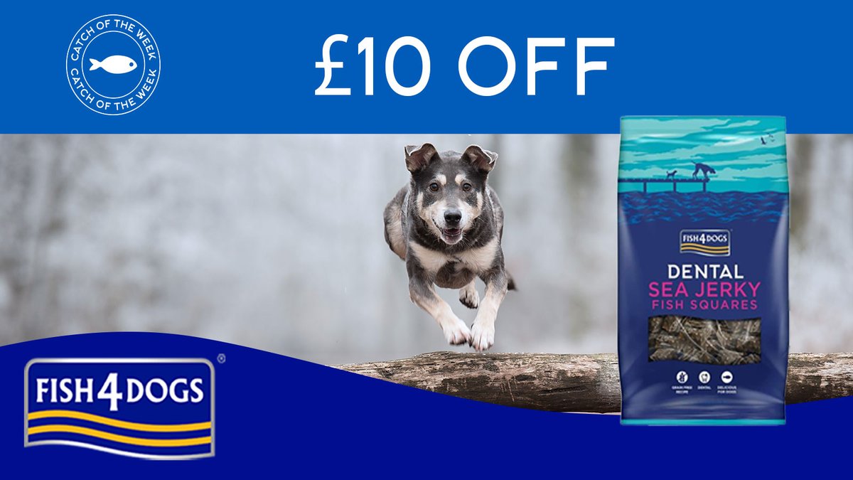 Fish4Dogs.com tweet media