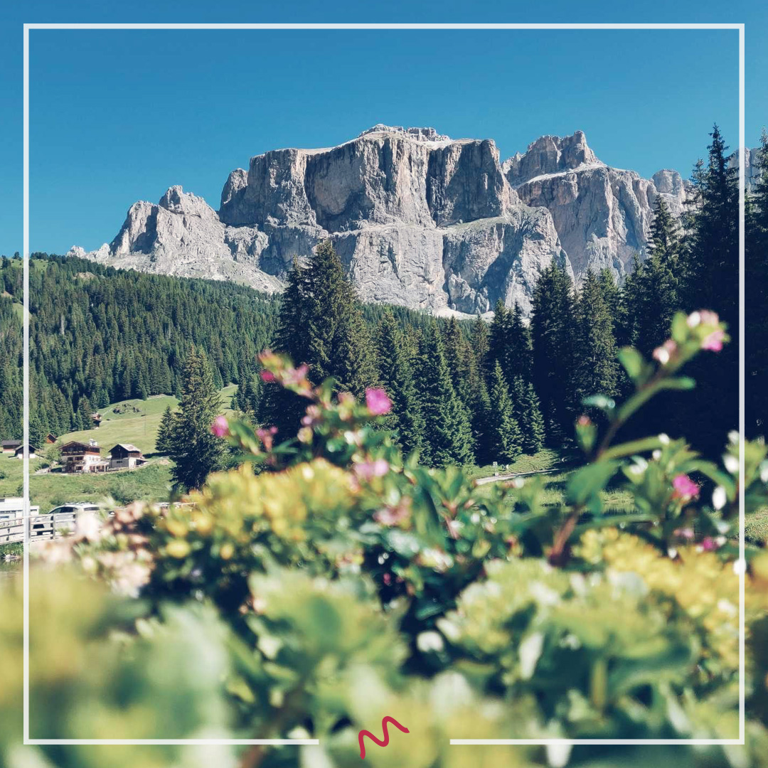 This epic calimotour is packing some real surprises for you! Up in the stunning northern Italy, there's a whole world waiting to be explored on two wheels, and the roads are tailor-made for your next adrenaline-fueled ride. 🇮🇹🍕  #calimoto #calimotour #calimotoapp #motorcycle