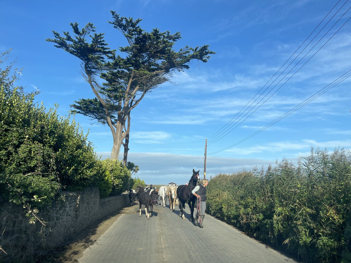 thisdevon's tweet image. This traffic is killing me ! #totalgridlock #devon #this_devon #noulezhere