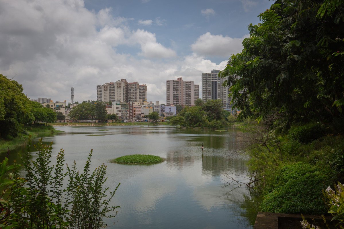 Interested in how citizen action can rejuvenate lakes 🌊and foster biodiversity? In Bengaluru, community projects are transforming lakes into vibrant urban spaces, using discarded materials for food gardens & kids' parks🌱🎈. Find more info !👇 bit.ly/3RNVia5