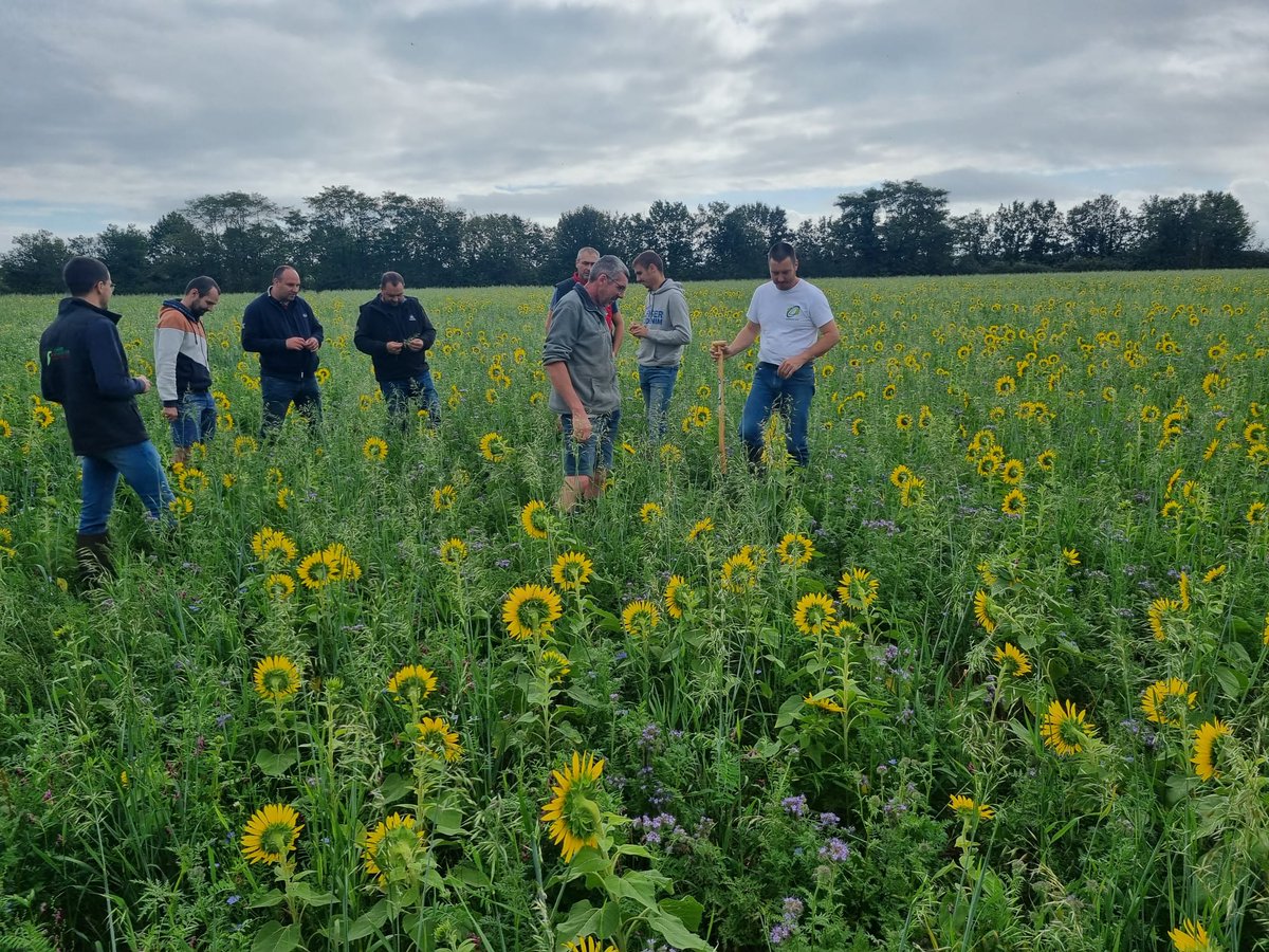 Groupe Sol Vivant 79 tweet media