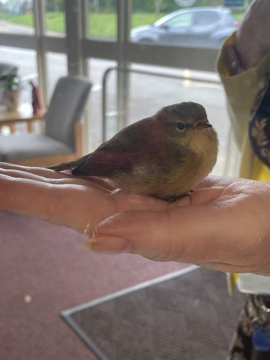 We had a little visitor today!