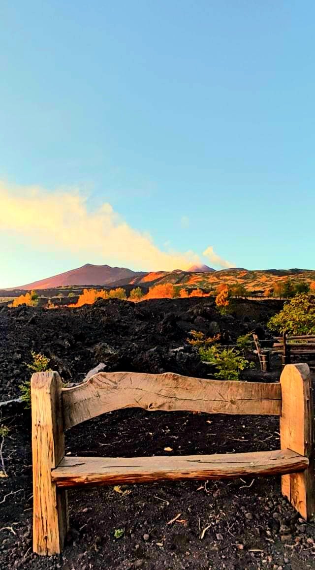 Lentamente il mio mondo si colora d'autunno. 
Buongiorno illusi, questa per voi.
❤️🫂🎶

youtu.be/2ZBtPf7FOoM?si…