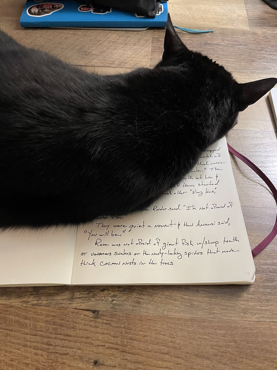 authordileo's tweet photo. The #5amwritersclub struggle is real with you’re #writingwithcats https://t.co/ISl8jFOooH