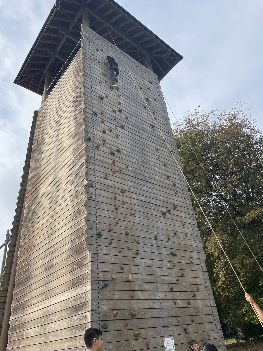 Drew Primary tweet media