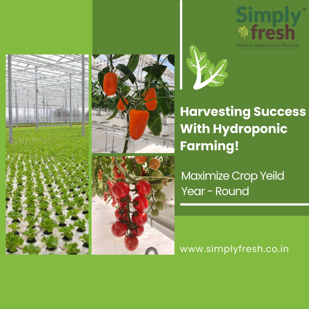 🌿Revolutionizing Agriculture: Boosting Crop Yields with Advanced Technology & AI 👨‍💻

Harness the power of advanced technology, AI, and precise nutrient management to supercharge crop yields. By optimizing nutrient delivery and infrastructure.

#simplyfresh #YearRoundHarvest