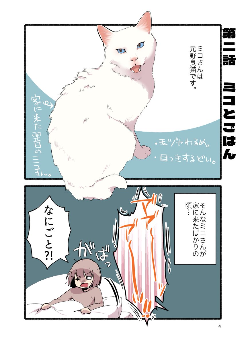 元野良猫にウェットフードあげたらとんでもないことになった話(1/2) #漫画が読めるハッシュタグ