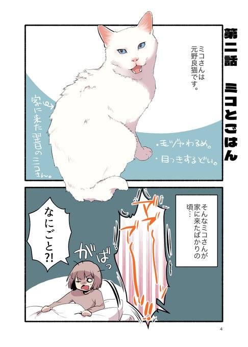 元野良猫にウェットフードあげたらとんでもないことになった話(1/2) #漫画が読めるハッシュタグ