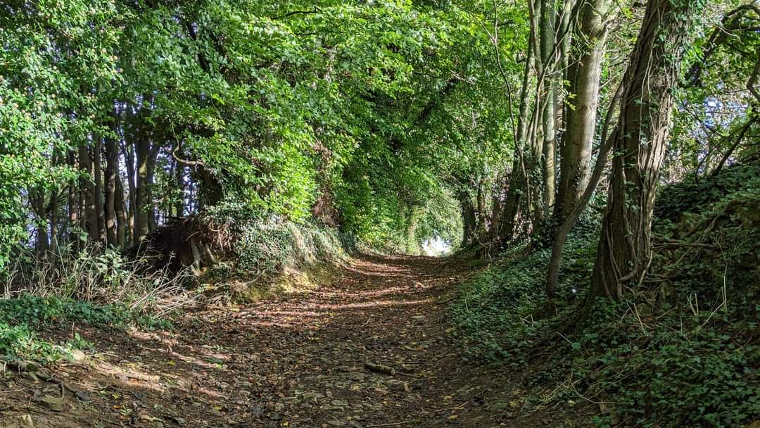 evesham ramblers tweet media