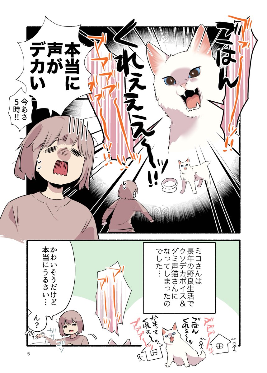 元野良猫にウェットフードあげたらとんでもないことになった話(2/2)
#漫画が読めるハッシュタグ 