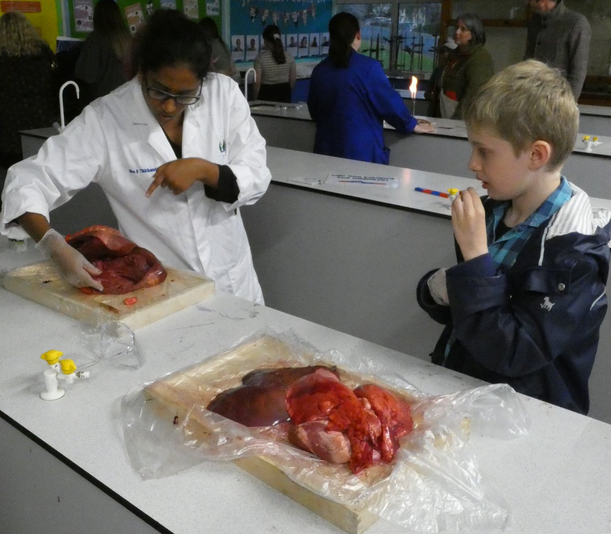 Bedwas High School tweet media