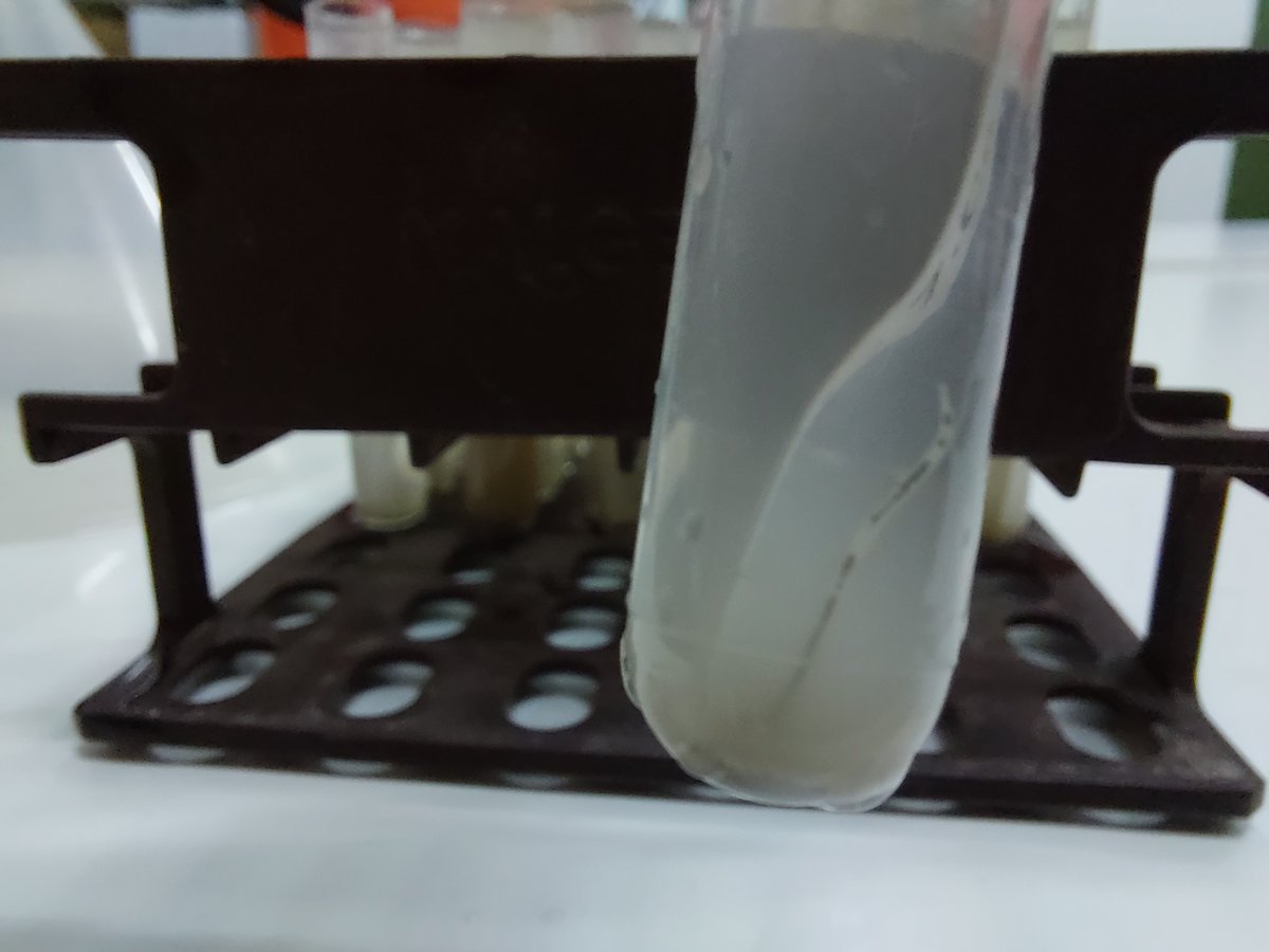 #SOFASU hankkeen maaperäeläinerottelut käynnissä. Maanäyte koriin, kori suppiloon, asteittainen valaistuksen ja lämpötilan nosto hehkulamppujen alla. Änkyrimadot pakenevat alaspäin ja tippuvat koeputkeen. Jännän äärellä👌 <a href="/LukeFinland/">Luonnonvarakeskus</a>
<a href="/SuomenAkatemia/">Suomen Akatemia | Research Council of Finland</a>
#kiertotalous #maaperäeliöt