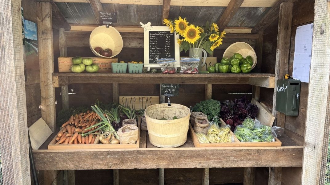 Trouvez tous vos marchands préférés et une vaste gamme de produits et d’articles-cadeaux originaux sous le même toit! 🥕🍅🛍️ Visitez le marché communautaire de Taymouth 📅samedi, 7 october, 9h 30 à 12h30 👉ow.ly/R5LP50PQqXL