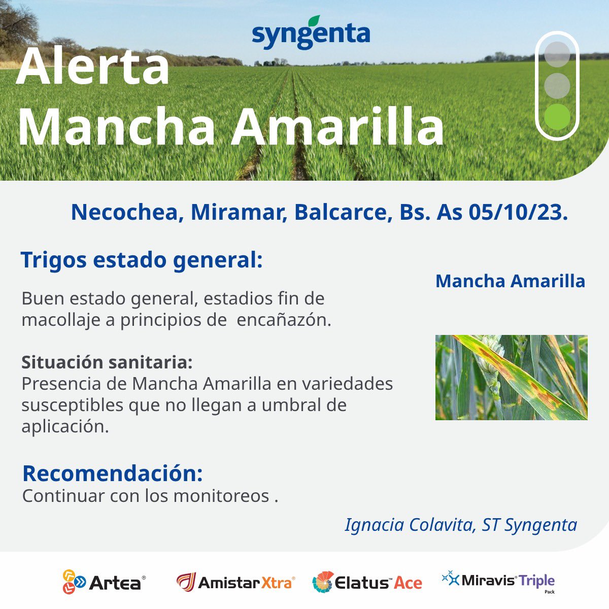 🚨Les comparto los alerta de como vienen las  enfermedades en el SE de Bs. As! Aplicaron ya? A seguir monitoreando!!
🍄🌾
.
.
<a href="/Syngenta_ar/">Syngenta Argentina</a>

#enelcampoconsyngenta
#Artea #AmistarXtra 
#MTP #ElatusAce